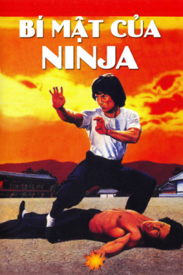 Ninja Knight 2: Roaring Tiger