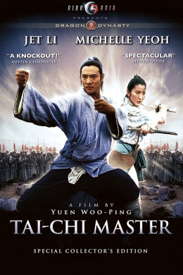 Tai Chi Master