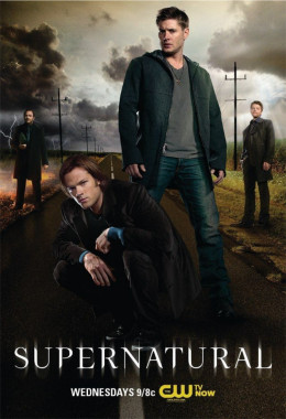 Supernatural (Season 8)