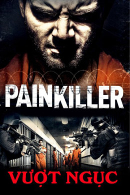 Painkiller 2013