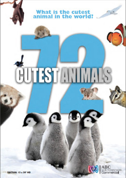 72 Cutest Animals