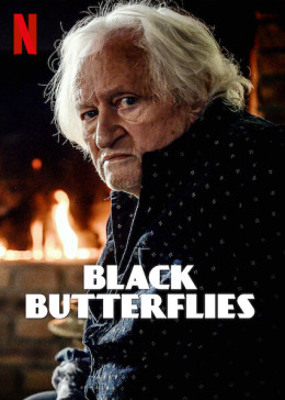 Black Butterflies