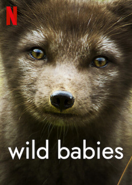 Wild Babies